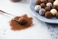 Assorted chocolate truffles with cocoa powder, coconut and chopped hazelnuts on a dessert plate Royalty Free Stock Photo