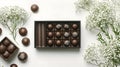 Assorted chocolate truffles in elegant packaging Royalty Free Stock Photo
