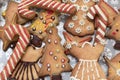Assorted christmas gingerbread cookies Royalty Free Stock Photo