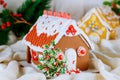 Assorted Christmas gingerbread cookies. Christmas gingerbread village, house, tree. Christmas New Year`s background snowflakes. Royalty Free Stock Photo
