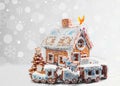 Assorted Christmas gingerbread cookies Royalty Free Stock Photo