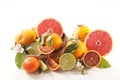 Assorted of citrous fruit Royalty Free Stock Photo