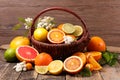 Assorted citrus fruit Royalty Free Stock Photo