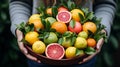 Assorted citrus fruits. orange, tangerine, grapefruit, sweetie - fresh and healthy