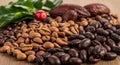 Assorted coffee beans, both roasted and unroasted, are displayed on a wooden Royalty Free Stock Photo