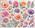 Assorted collection of colorful flower stickers in watercolor style for flower shop design background