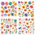 Assorted collection of colorful flower stickers in watercolor style for flower shop design background