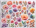 Assorted collection of colorful flower stickers in watercolor style for flower shop design background,