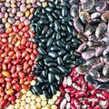assorted colored beans Royalty Free Stock Photo