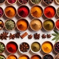 Assorted colorful spices and herbs, cookin ingredients in organized grid row, white background