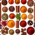 Assorted colorful spices and herbs, cookin ingredients in organized grid row, white background