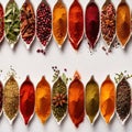 Assorted colorful spices and herbs, cookin ingredients in organized grid row, white background