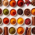 Assorted colorful spices and herbs, cookin ingredients in organized grid row, white background