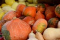 Assorted Colorful Squash Royalty Free Stock Photo