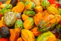 Assorted colors pf cocoas after harvested Royalty Free Stock Photo