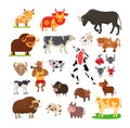 Assorted cow breeds styles including cartoon realistic representations. Bovine collection various