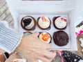 Assorted Cupcake Box with Carrot, Red Velvet and Chocolate Cupcakes Royalty Free Stock Photo