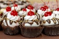 Assorted Cupcakes on Display Royalty Free Stock Photo