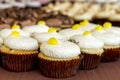 Assorted Cupcakes on Display Royalty Free Stock Photo