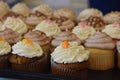 Assorted Cupcakes with frosting and decorations on display at bakery Royalty Free Stock Photo