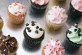 Assorted Cupcakes on Silver Surface Royalty Free Stock Photo