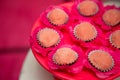 several cupcakes with white icing on top of a pink cake plate Royalty Free Stock Photo