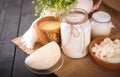 Assorted dairy products milk, yogurt, cottage cheese, sour cream. Rustic still life. Royalty Free Stock Photo