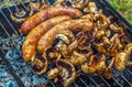 Assorted delicious grilled meat and mushrooms over the coals on a barbecue Royalty Free Stock Photo