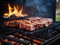 Assorted delicious grilled meat with vegetable over the coals on a barbecue