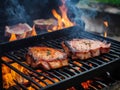 Assorted delicious grilled meat with vegetable over the coals on a barbecue