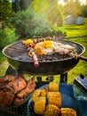 Assorted delicious grilled meat and vegetables over coal barbecue grill in sunny green garden Royalty Free Stock Photo