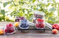 Assorted different summer berries in glass jars