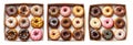 Assorted donuts with colorful icing and toppings in a box, isolated on white transparent background Royalty Free Stock Photo