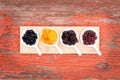 Assorted dried berries and fruit in ramekins Royalty Free Stock Photo