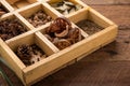 Assorted Dried Herbs In A Printers Tray With Focus To Chamomile