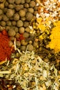 Assorted dried herbs and spices Royalty Free Stock Photo