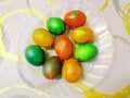 Assorted Dyed Easter Eggs Arranged on Plastic Plate Against Textured Background with Copy Space Royalty Free Stock Photo