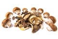 Assorted edible dried mushrooms isolated on white background