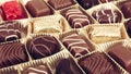 Assorted Fine Chocolates Royalty Free Stock Photo