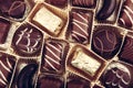 Assorted Fine Chocolates Royalty Free Stock Photo