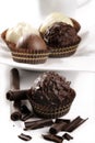 Assorted of fine chocolates Royalty Free Stock Photo