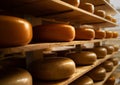 Assorted flavors of cheese wheels maturing in a cheese factory on wooden shelves. Cheese warehouse, close up. Store at