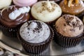 Assorted Flavors of Cupcake on Display Royalty Free Stock Photo