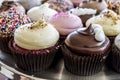 Assorted Flavors of Cupcake on Display Royalty Free Stock Photo