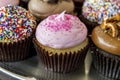 Assorted Flavors of Cupcake on Display Royalty Free Stock Photo