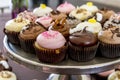 Assorted Flavors of Cupcake on Display Royalty Free Stock Photo