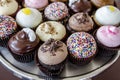 Assorted Flavors of Cupcake on Display Royalty Free Stock Photo