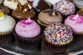 Assorted Flavors of Cupcake on Display Royalty Free Stock Photo