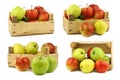 Assorted fresh apples in a wooden crate Royalty Free Stock Photo