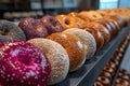 Assorted Fresh Bagels with Varied Toppings in a Modern Bakery Display Generative AI Royalty Free Stock Photo